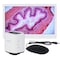Amscope 0.7X-5X Zoom 1080p 15fps 5MP HDMI Digital Inspection Microscope With Ring Light & 11.5" Monitor H800-96S-HD1080A-HDM - alternate 2